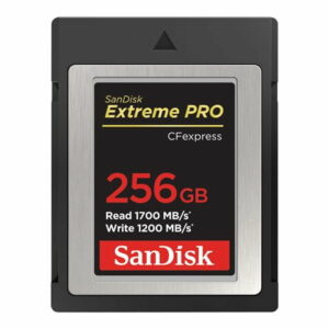 Sandisk Extreme Pro 256GB CFexpress TYPE B 1700MB/1200MB/s