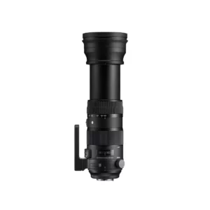 sigma 150 600mm f5 6.3 s 1.jpg