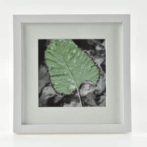 18x18cm kehys paspartuurilla (valkoinen)