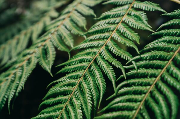 10 18 28 dcdn c023 Impression image Johannes Hulsch 02