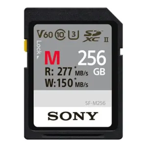 Sony M-series 256gb V60